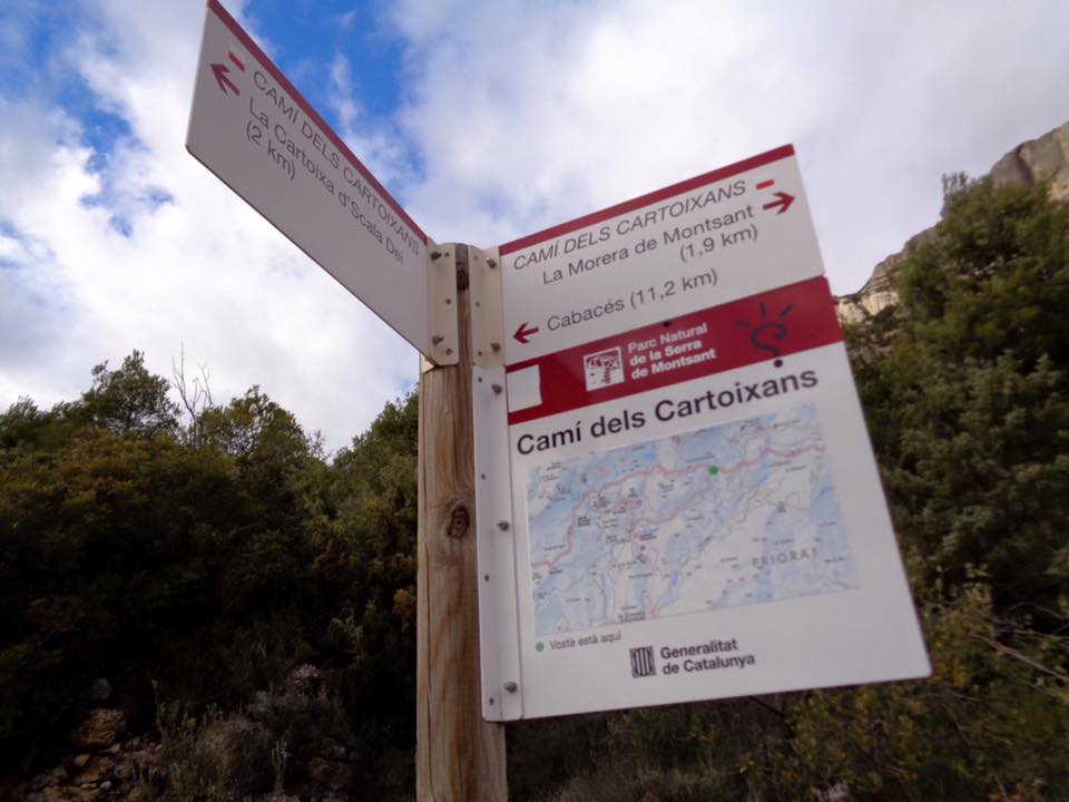 10392059_502264429898565_1808752360796804317_n