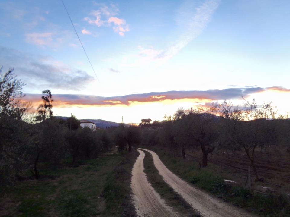 12651059_490778944380447_8303379491562031320_n