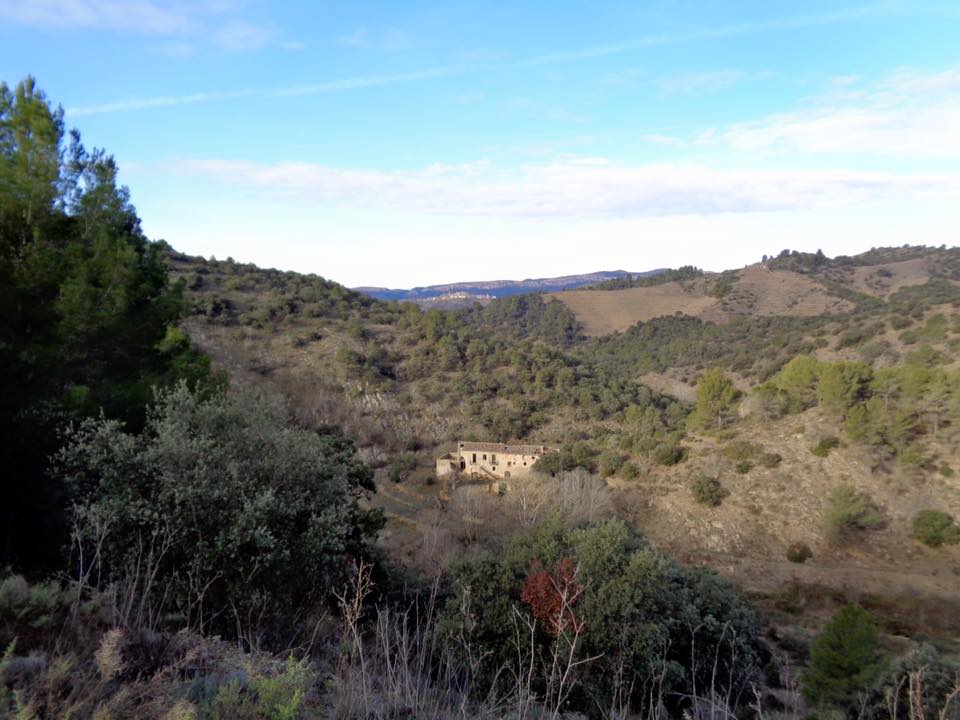 12651078_490779097713765_9167210742281672605_n