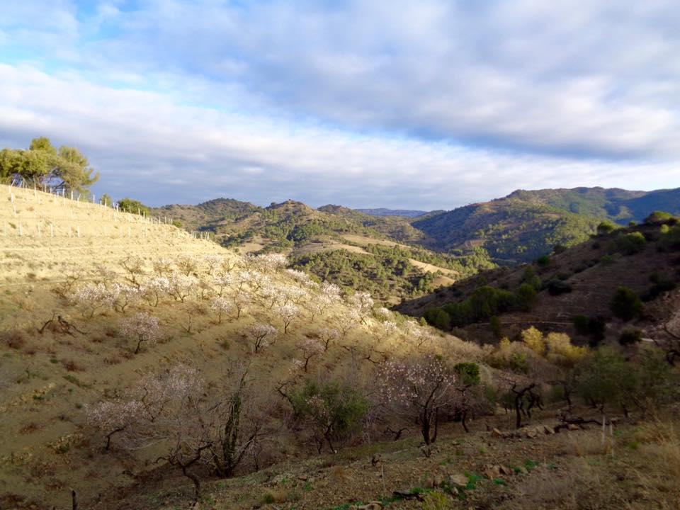 12654257_490779144380427_741857496358524978_n