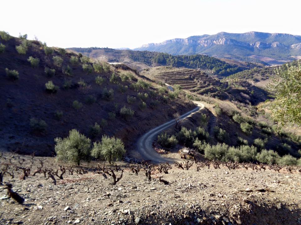 12705585_494833543974987_5638377337079217186_n