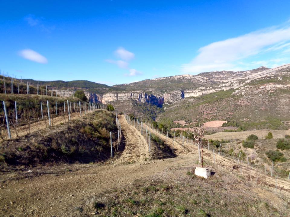 12718045_498358633622478_6763765361953955049_n