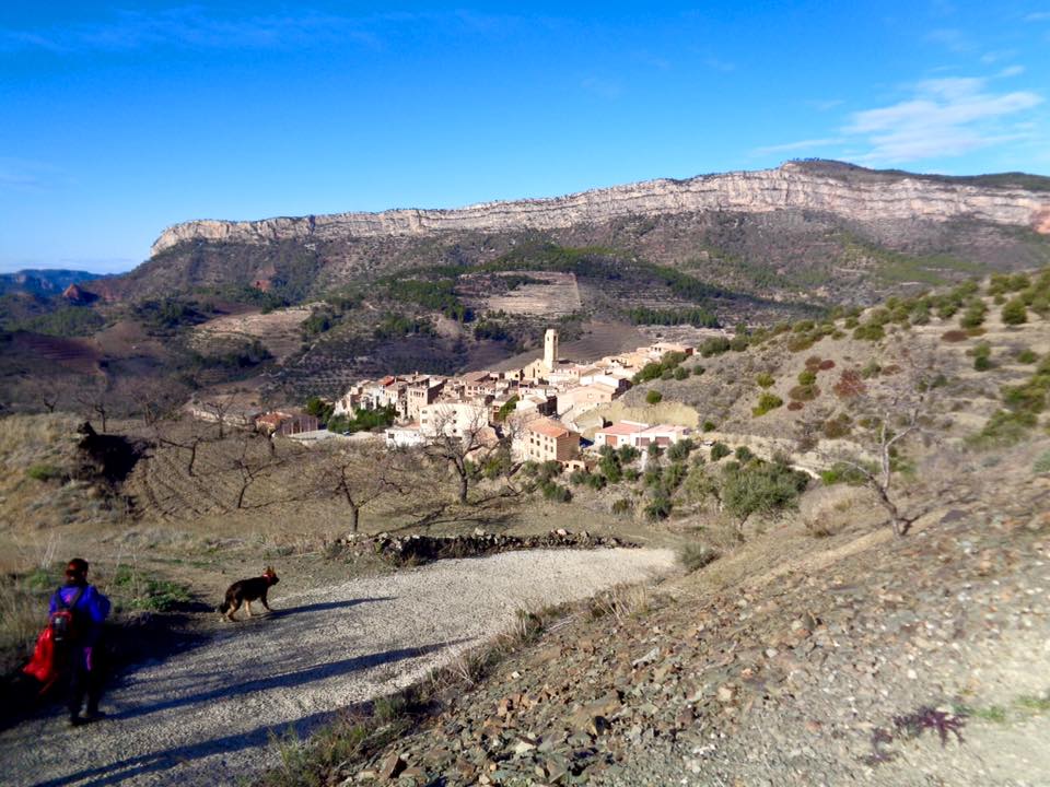 12718334_494833483974993_920018457811820677_n