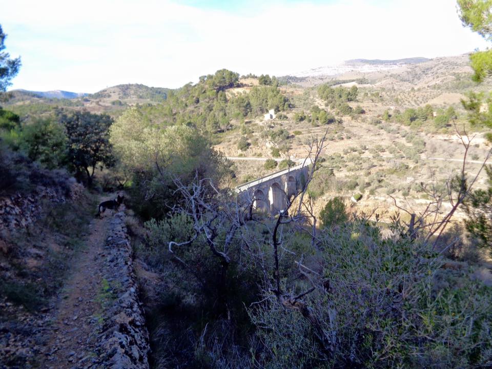 12728860_494833697308305_2276028925390228179_n