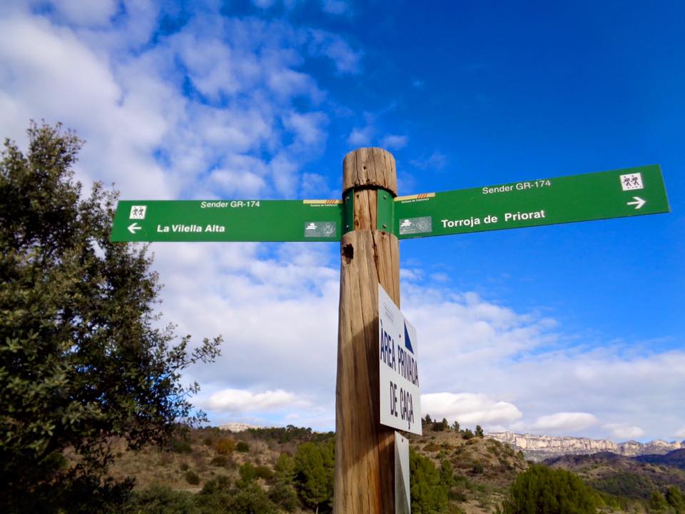 12734007_494833657308309_1520014263267959063_n