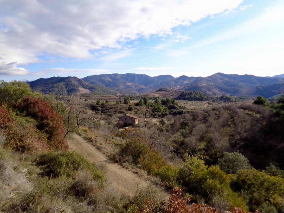 12743861_494833560641652_4154372922484441870_n