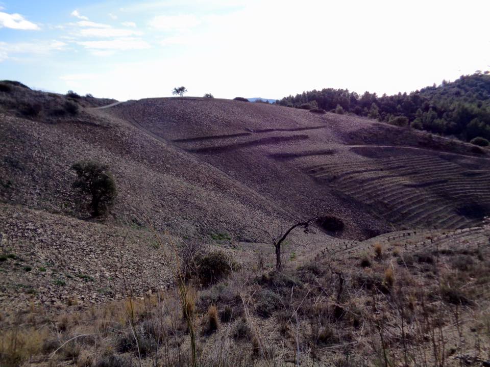 12744569_494833467308328_590871199394590512_n