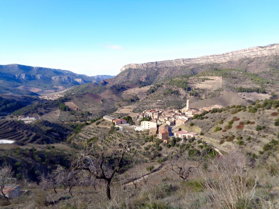 12795442_498358780289130_1952046626613270171_n