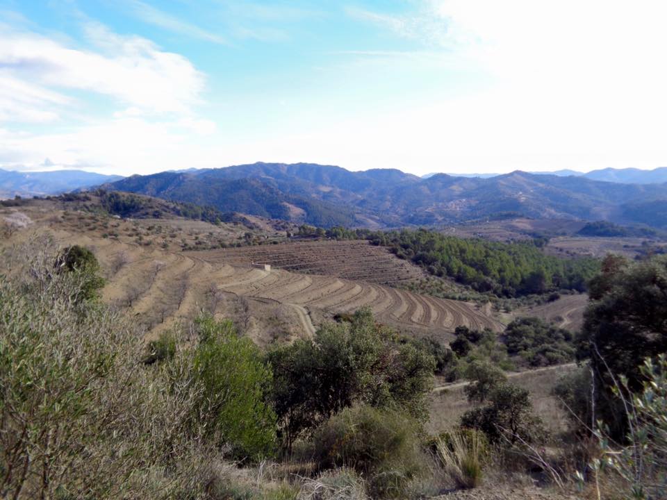 12800243_498358743622467_7028915113833019239_n