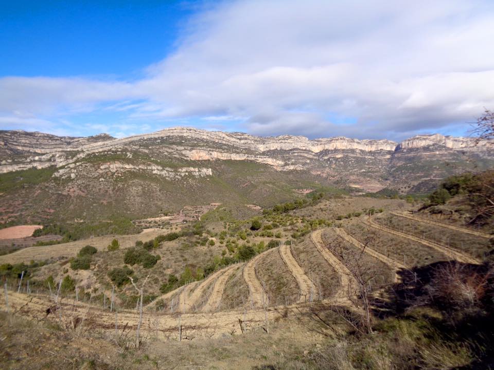 12803075_498358596955815_5439066955615477763_n