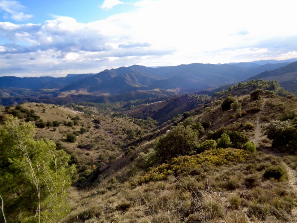 12919663_508195005972174_7425498061143736134_n