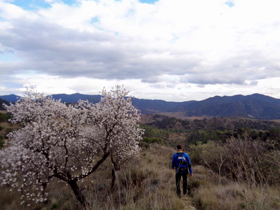 12928425_508195102638831_6861376974108222529_n