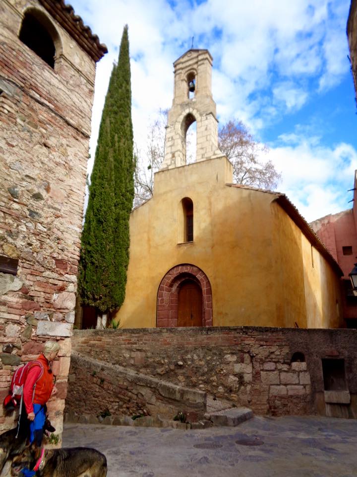 1451317_498358846955790_8512478777165168710_n