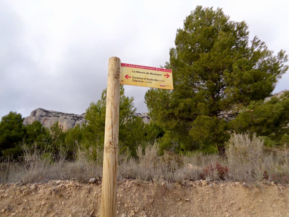 1625775_502264296565245_7967917624137047657_n