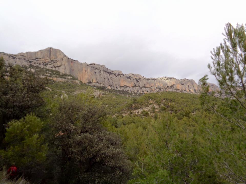 1910305_502264463231895_2327827938742740772_n