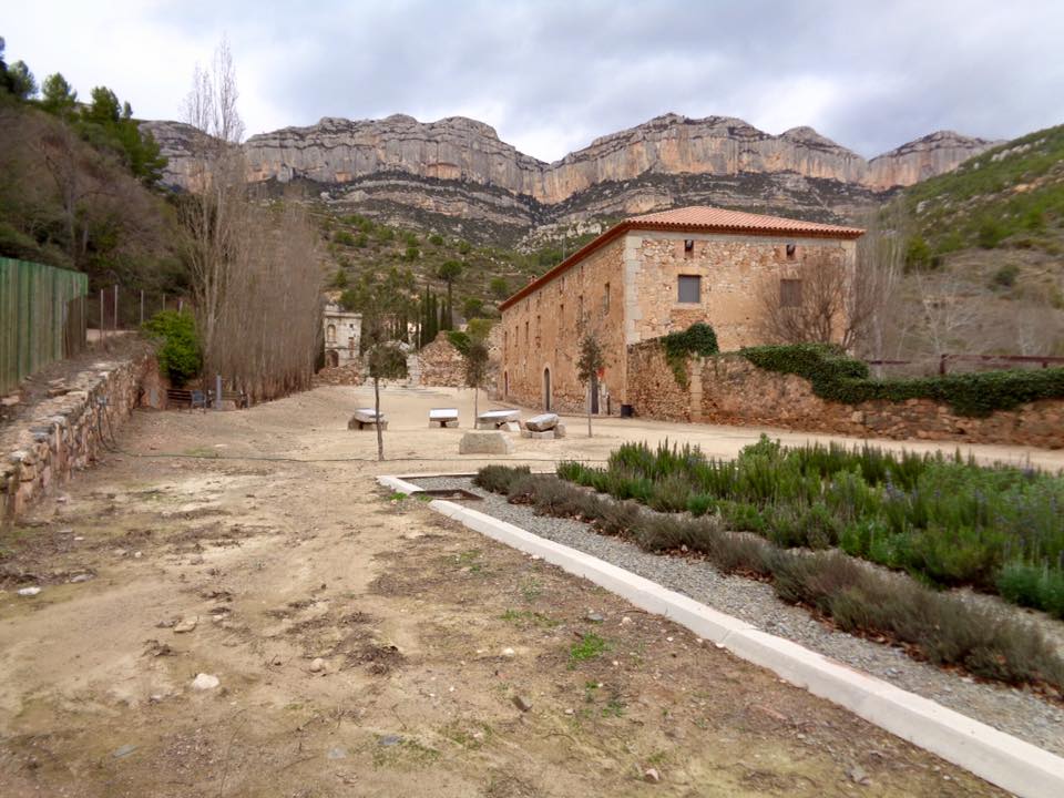 1915453_502264193231922_1707212646745078882_n