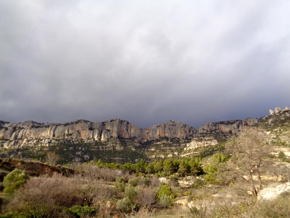 1915655_502264253231916_1583807015105961282_n