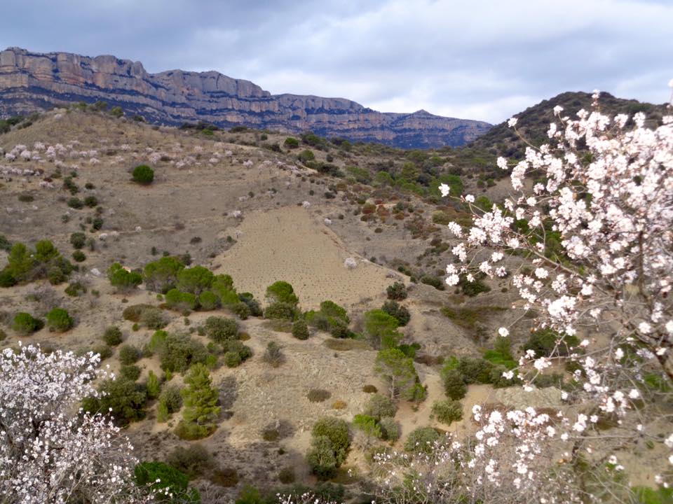 388_508195122638829_3066544915704647712_n