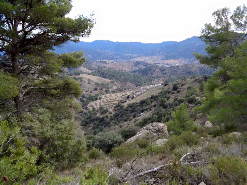 443_508195072638834_7450501831716901551_n