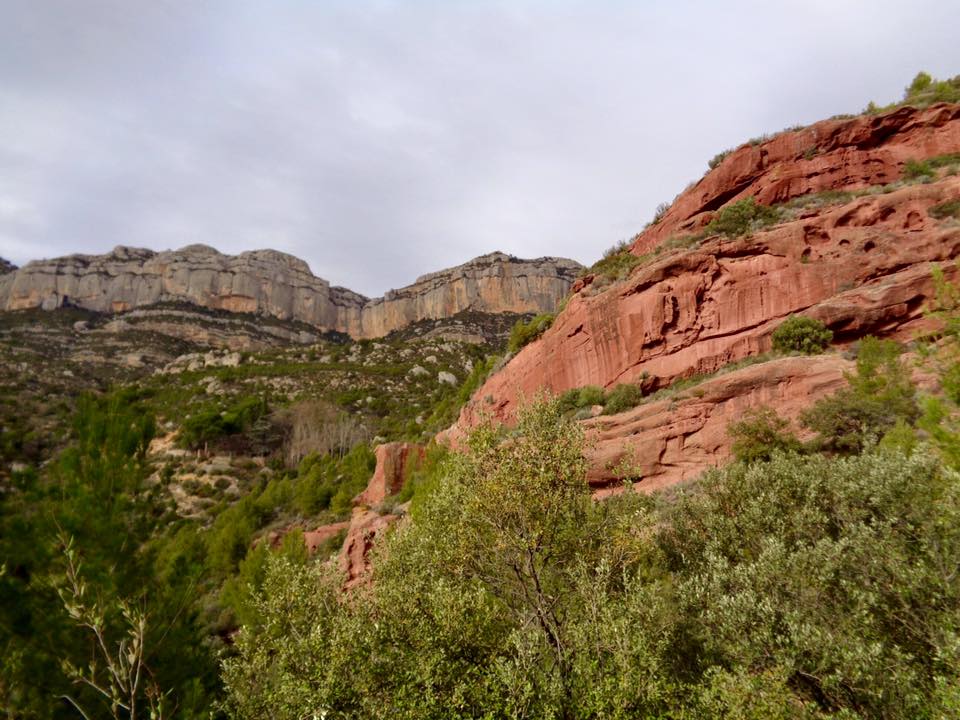 944840_502264243231917_8492531755252300424_n