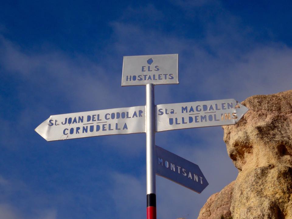 12112041_464452553679753_693466413550219491_n