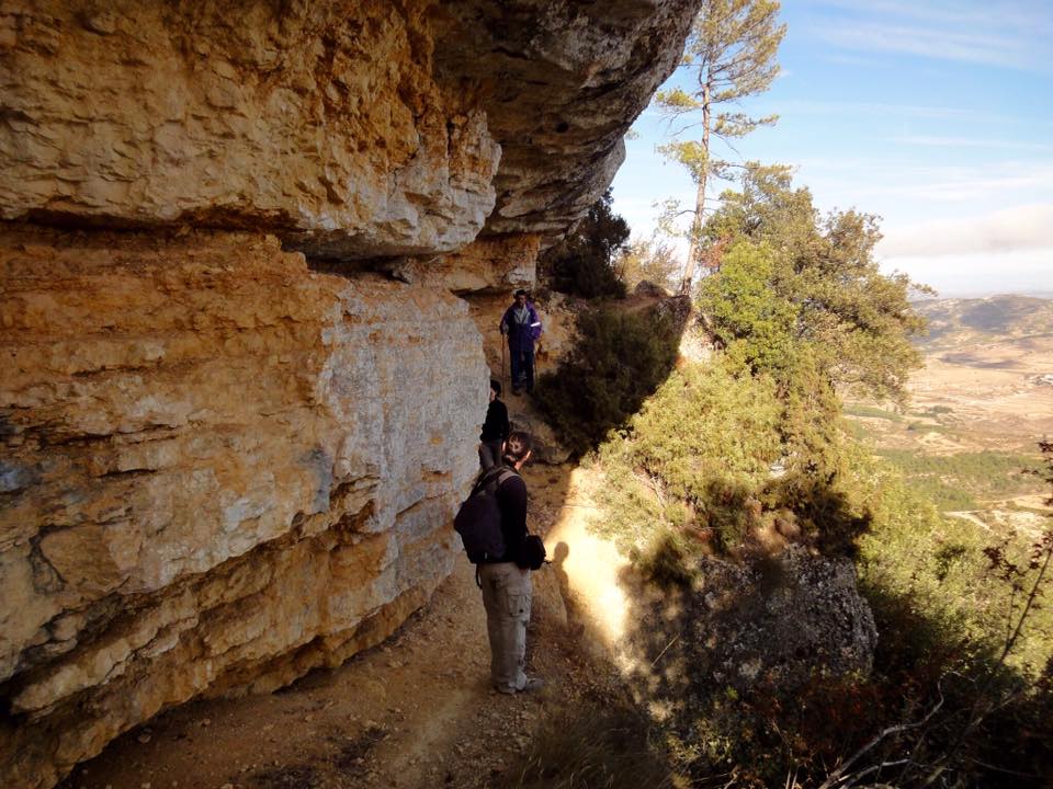 12187852_464452570346418_3521231226275671972_n