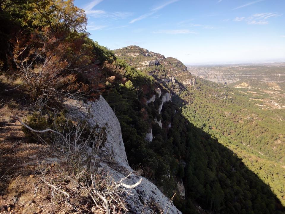 12189931_464452617013080_3424981983331279676_n