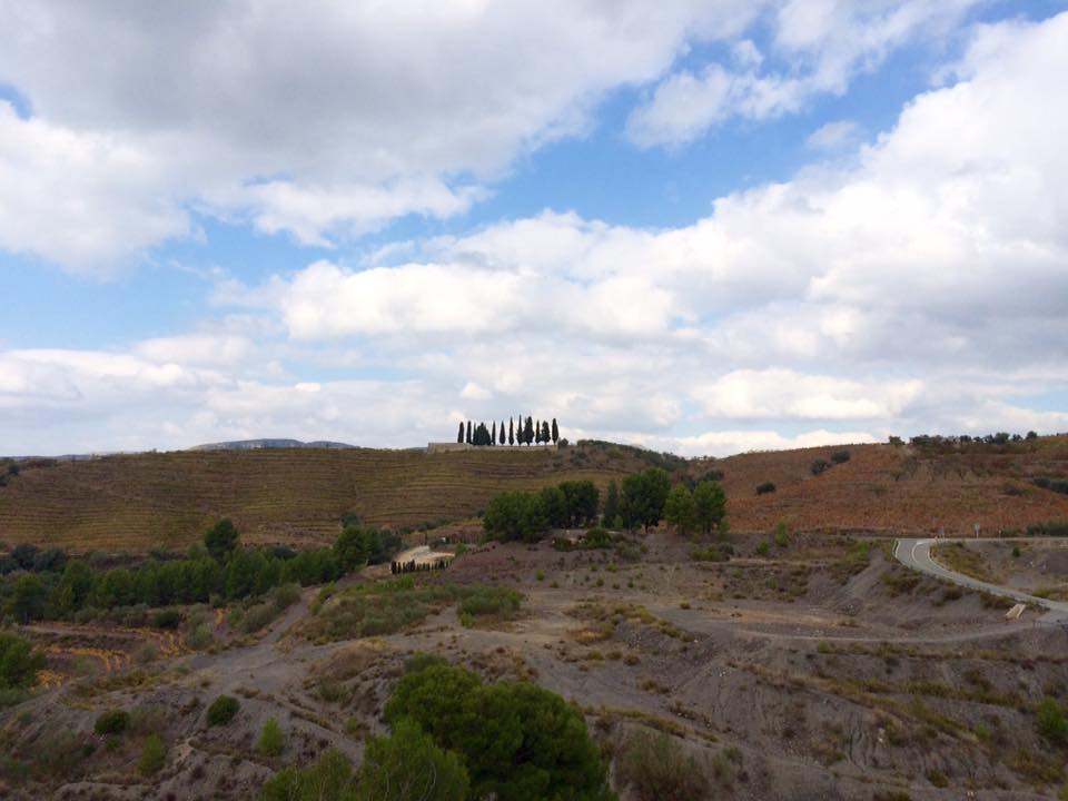 12227160_468759083249100_4111664839965671462_n