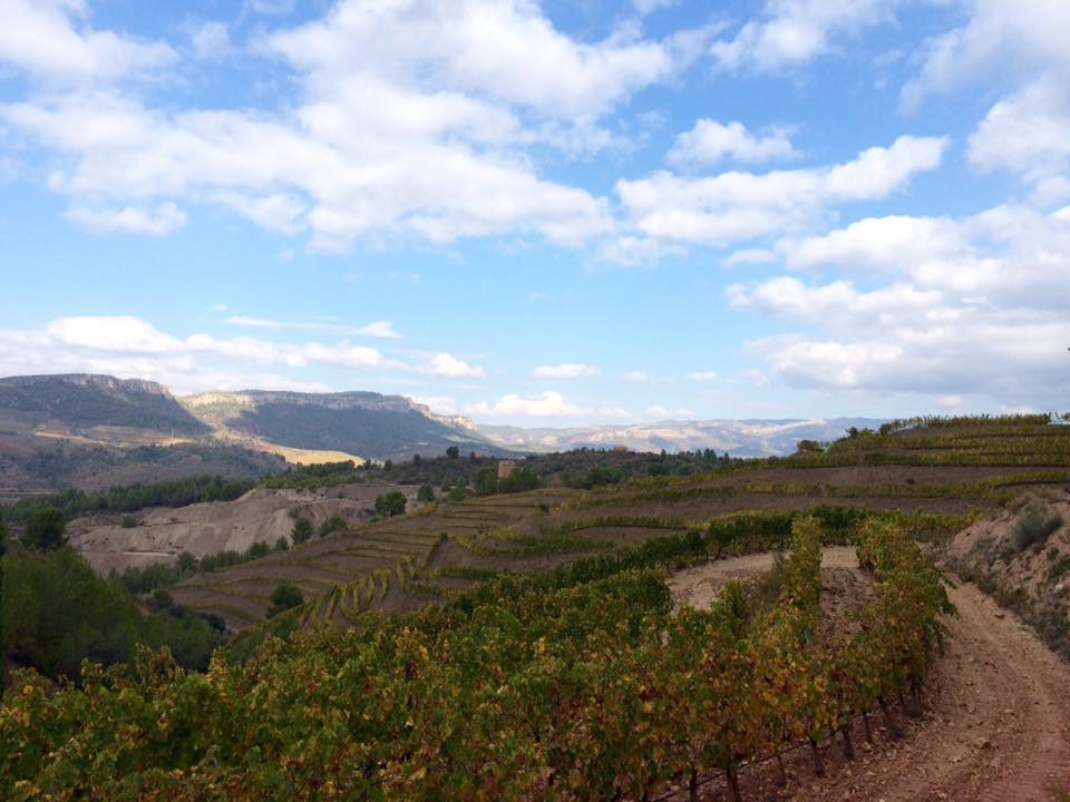 12239758_468759199915755_6809445550868074975_n