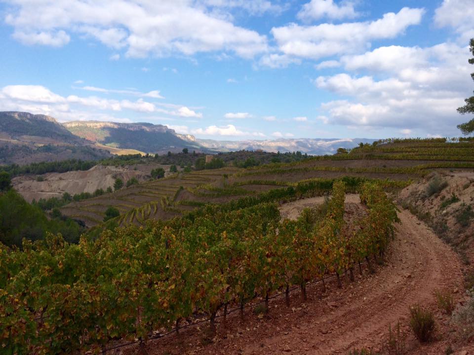 12240082_468759243249084_7020421179710280756_n