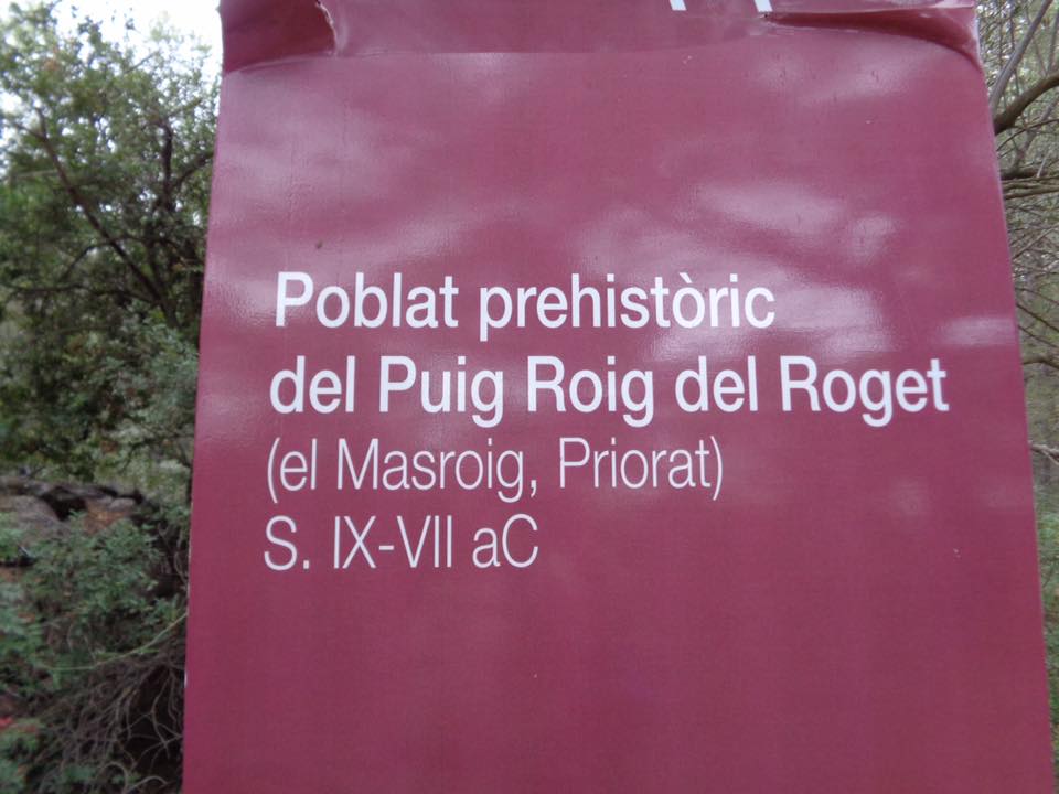 12241409_468759129915762_4080351335462529780_n