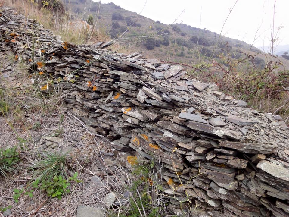 12321171_476477079143967_33259479725316372_n