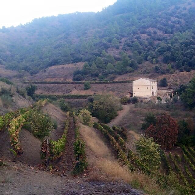 12345686_476477029143972_7332477126616515682_n