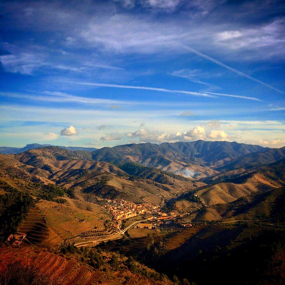 12360366_476477049143970_3372054694844267467_n