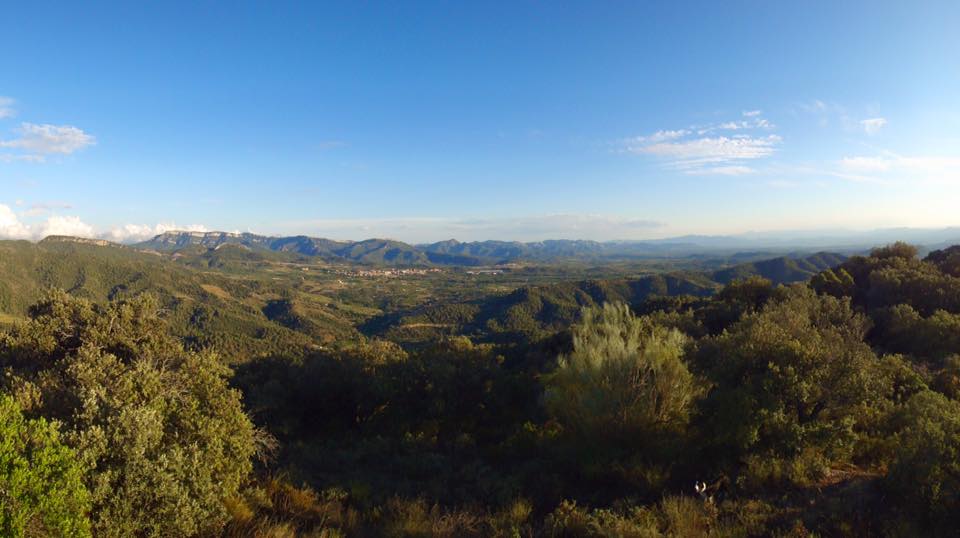 12391804_476477065810635_4408449760550871428_n