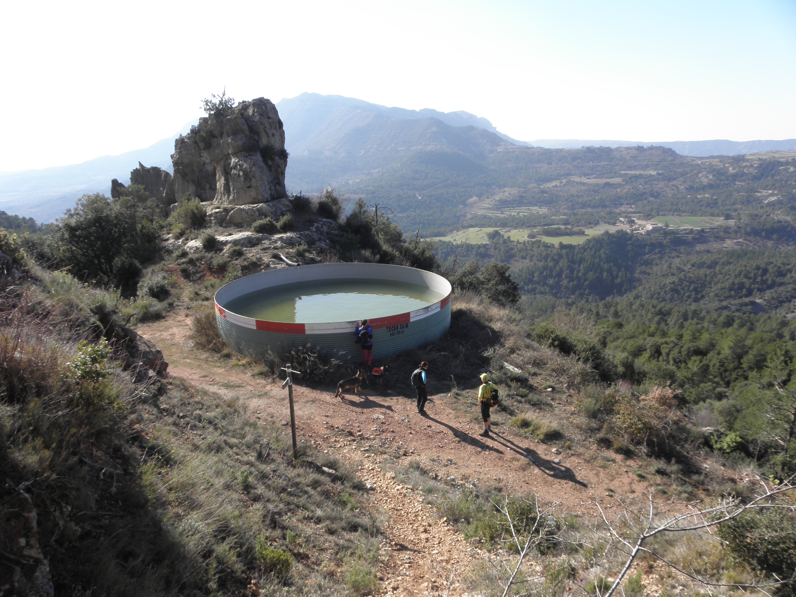 la bassa rodona, Mas del Lluc i Albarca al fons