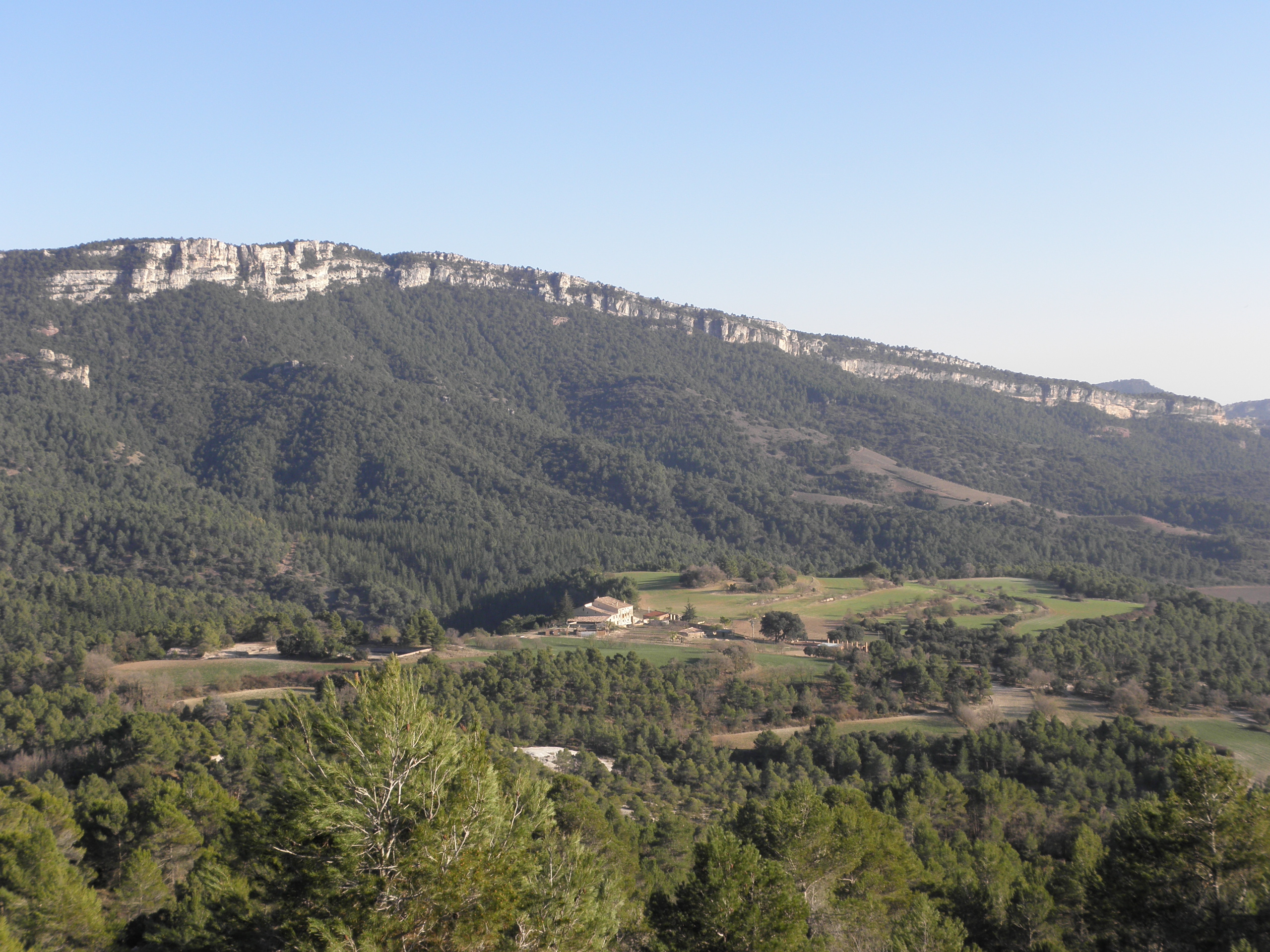 Serra de la Gritella i Mas de lluc